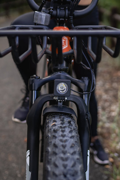 EODES Emma 750W Fat Tire Ebike for Adults, up to 27MPH Max Range 43 Miles - SYX MOTO