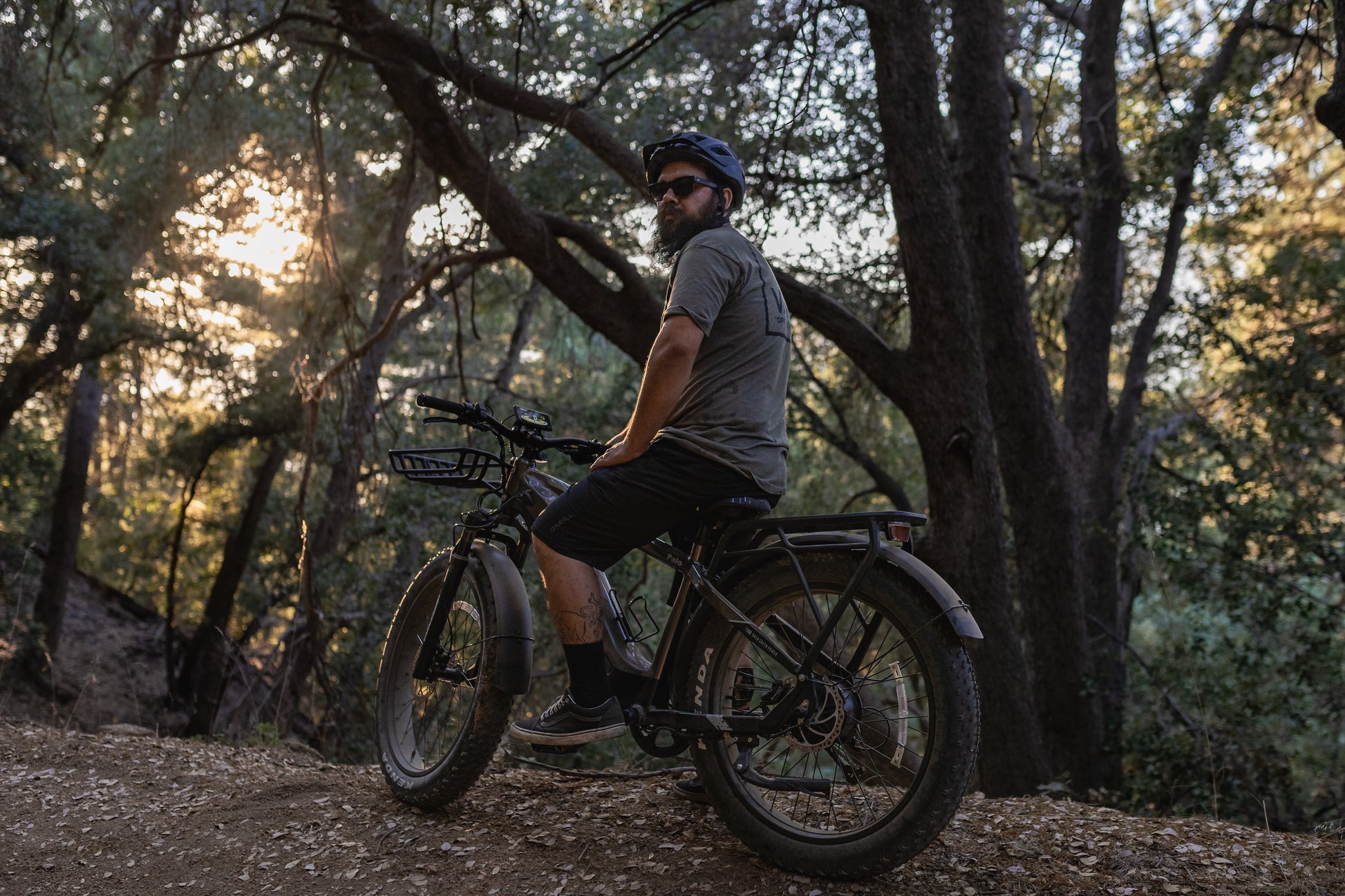 EODES PALO 750W Fat Tire Ebike for Adults, up to 27MPH Max Range 43 Miles - SYX MOTO