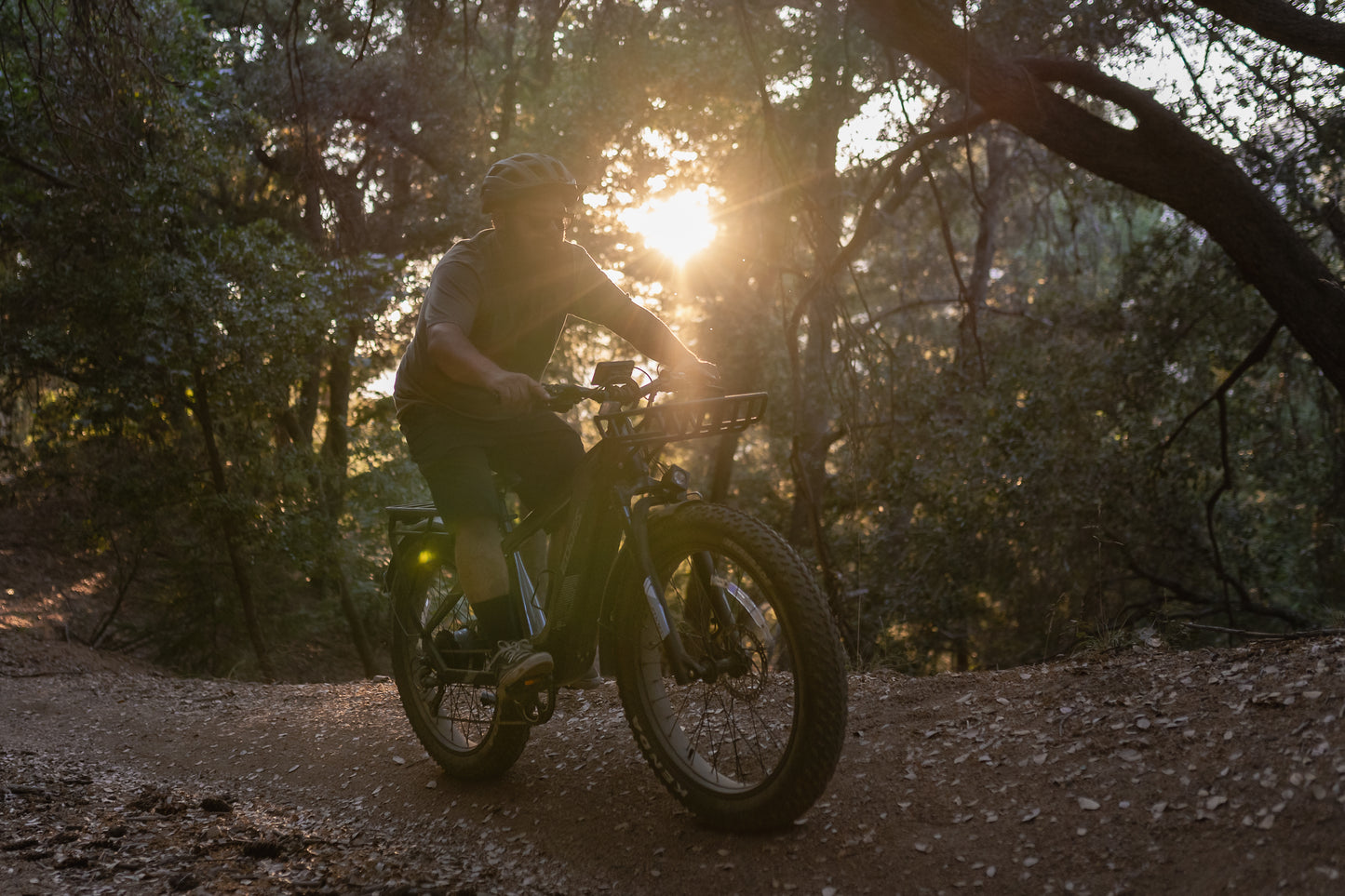 EODES PALO 750W Fat Tire Ebike for Adults, up to 27MPH Max Range 43 Miles - SYX MOTO