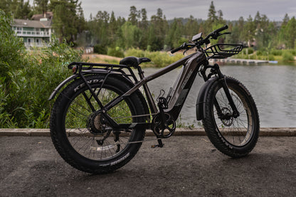 EODES PALO 750W Fat Tire Ebike for Adults, up to 27MPH Max Range 43 Miles - SYX MOTO
