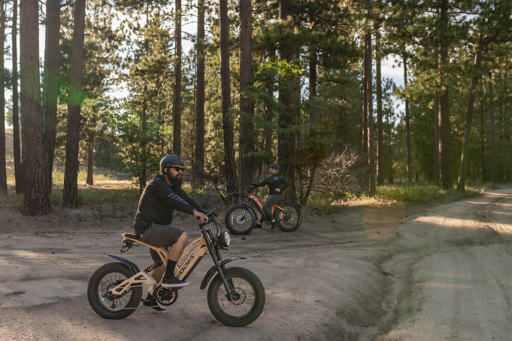 EODES VIKINGS 1000W Retro Style Powerful Ebike for Adults, up to 27MPH Max Range 55 Miles - SYX MOTO