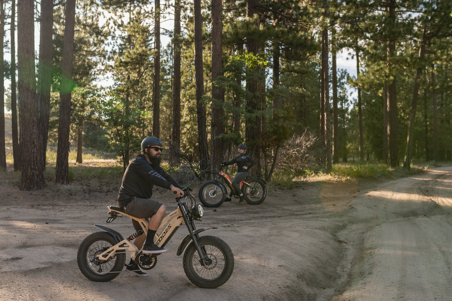 EODES VIKINGS 1000W Retro Style Powerful Ebike for Adults, up to 27MPH Max Range 55 Miles - SYX MOTO